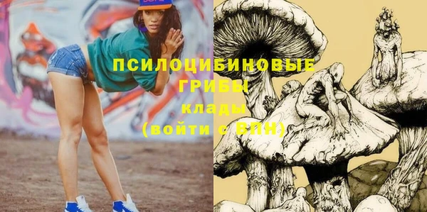 дурь Гусь-Хрустальный