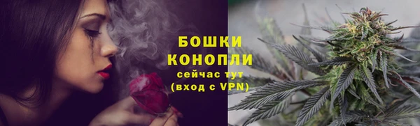 прущая мука Дмитриев