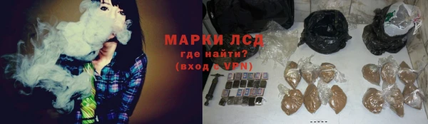 ПСИЛОЦИБИНОВЫЕ ГРИБЫ Гусев