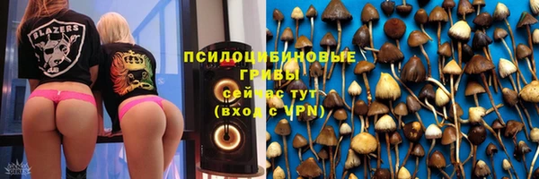 дурь Гусь-Хрустальный