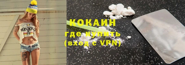 ПСИЛОЦИБИНОВЫЕ ГРИБЫ Гусев